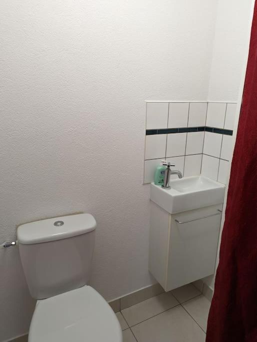 Appartement Plein Centre Saint Die Des Vosges Kültér fotó